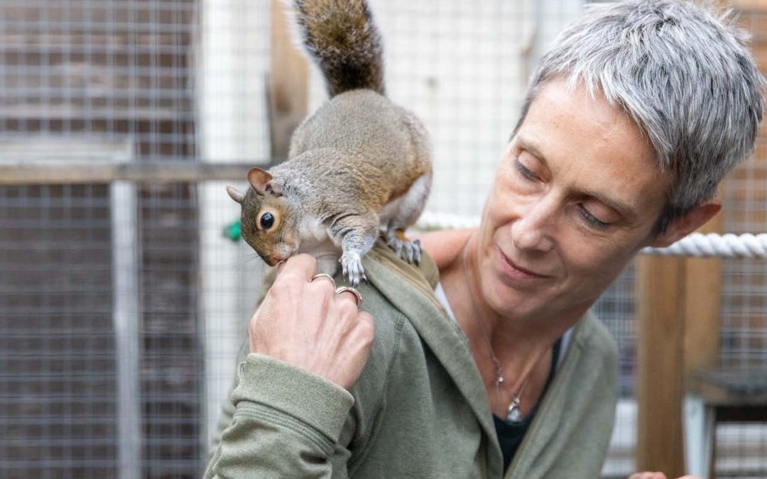 Doctor opens sanctuary because she’s totally nuts about squirrels